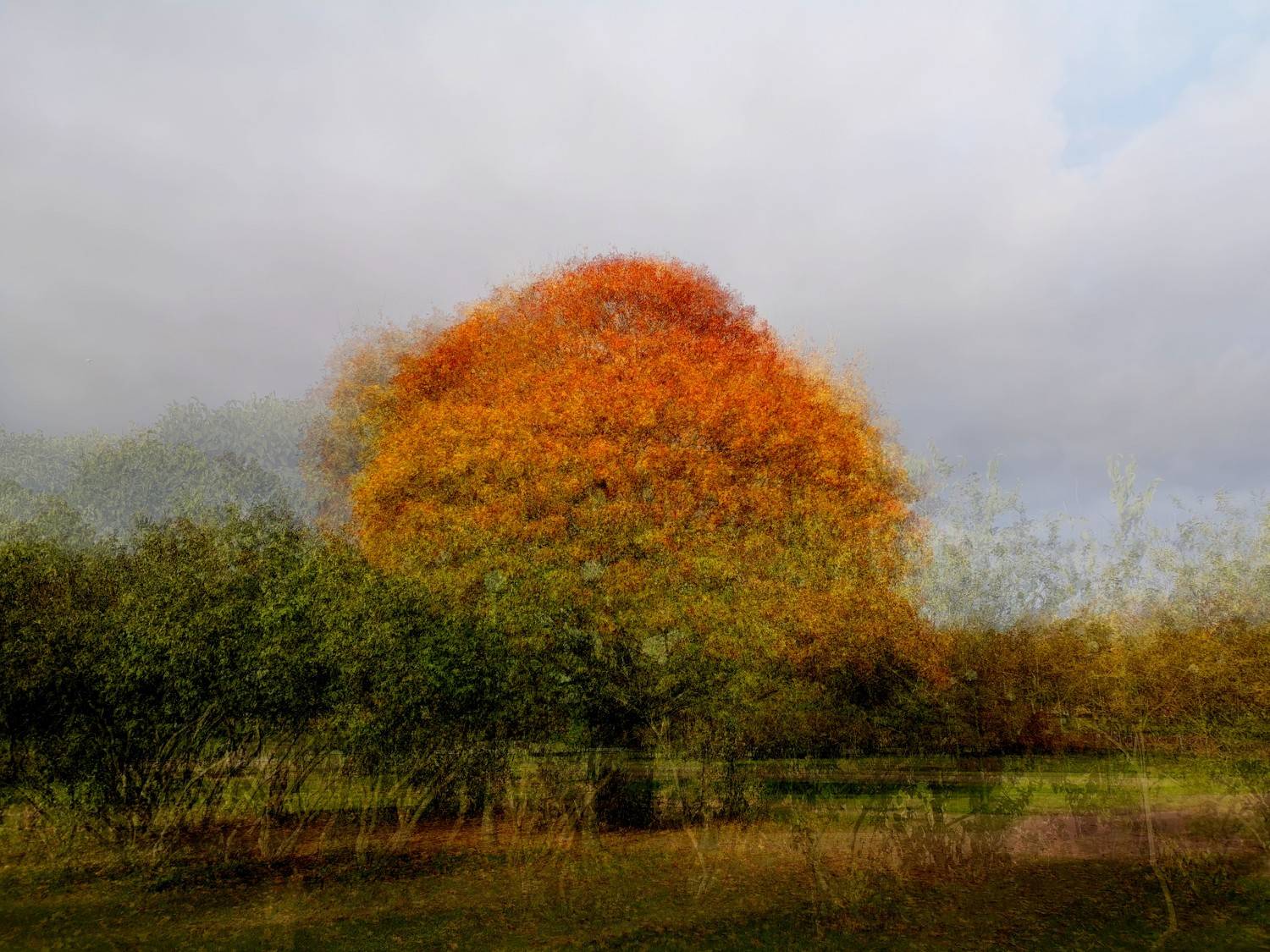 , Антон Лаба