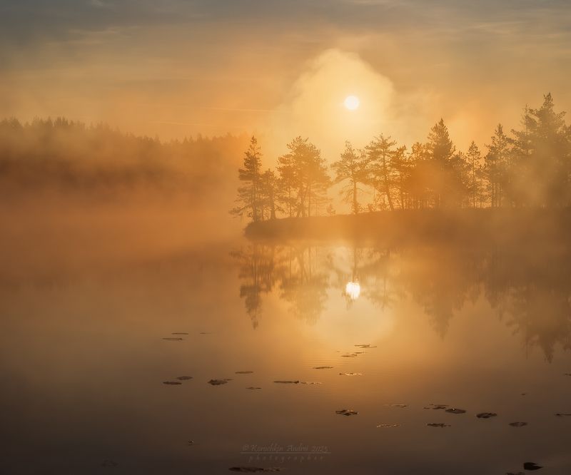 ... туман ... фото превью