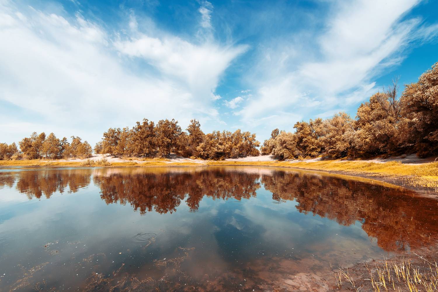 , Павел Сторчилов