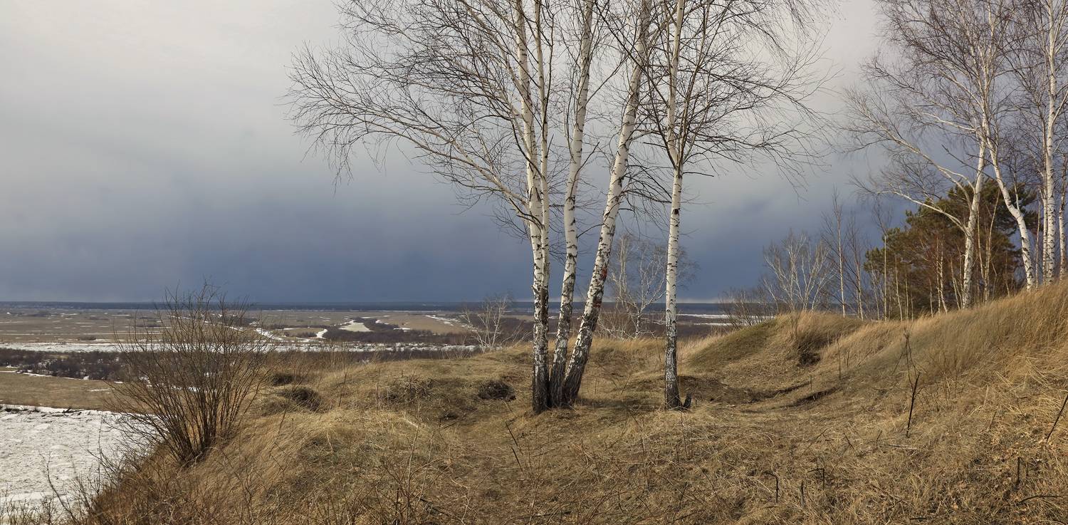 , Алексей Хахлов