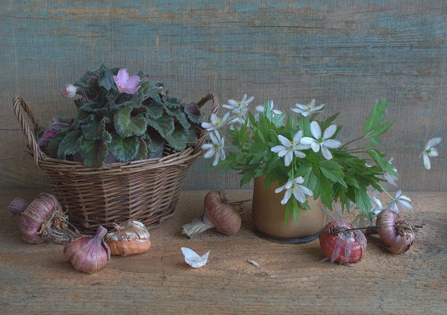 , Хохлова (Ермохина) Наталья