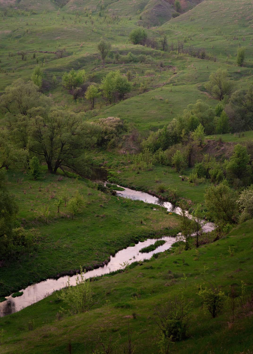 , Иван Мосьянов
