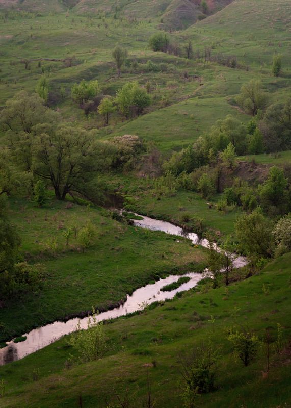 р.Каменка фото превью