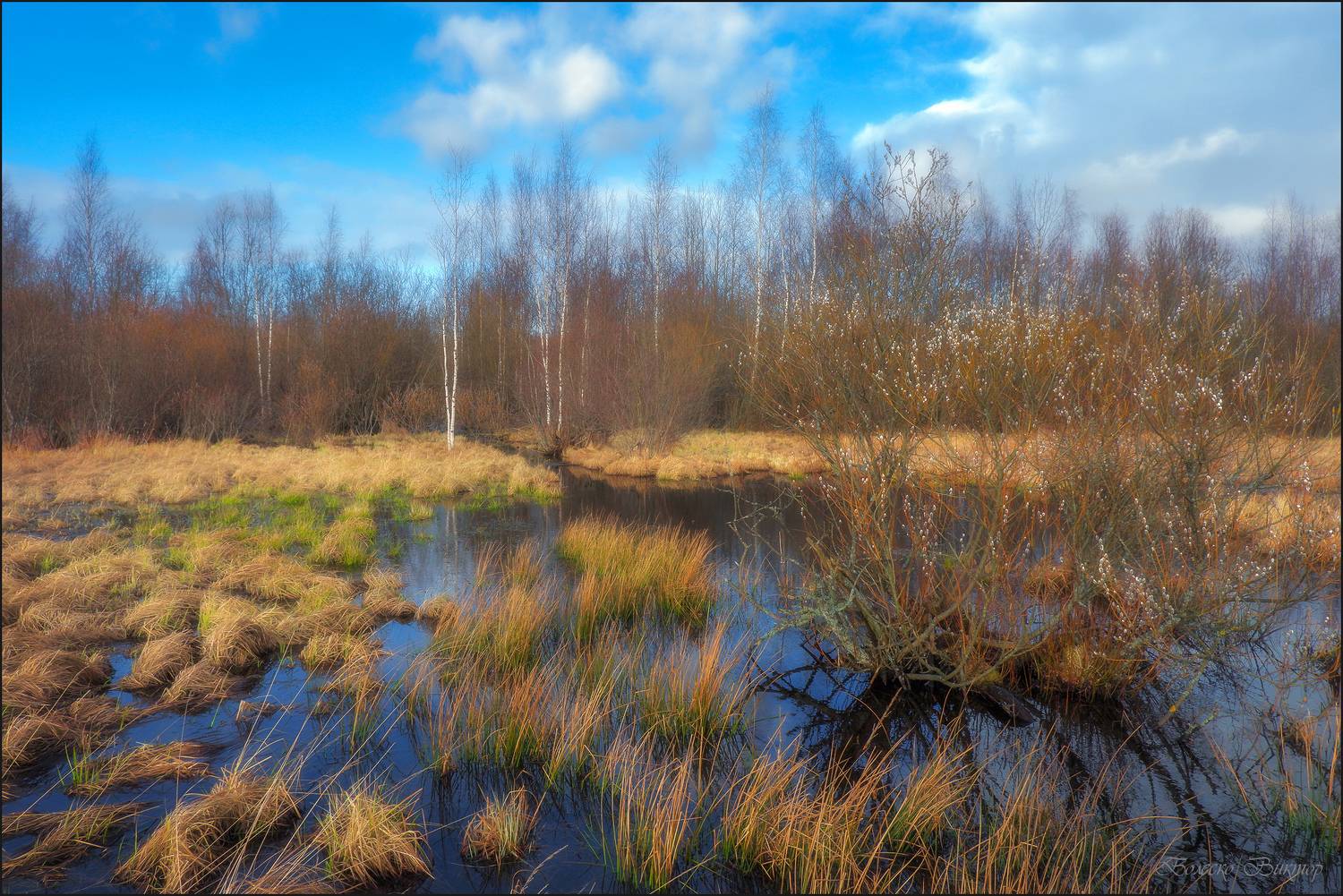 , Болеско Виктор