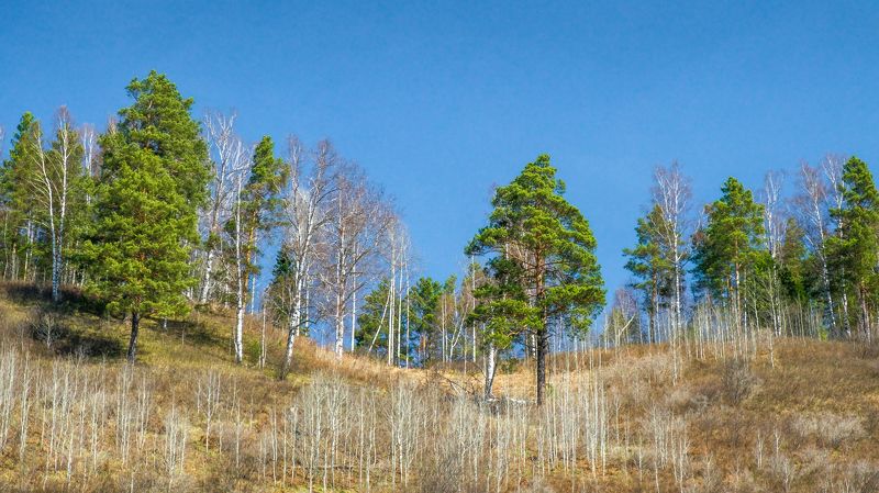 пейзаж, горы, весна  Весна фото превью