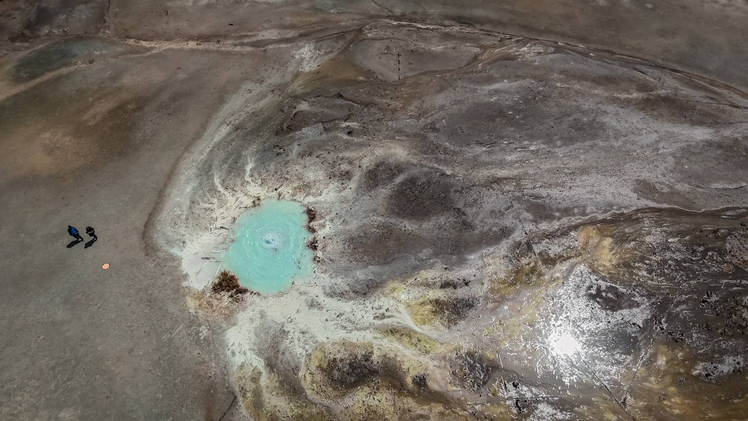 , Дария Максимова