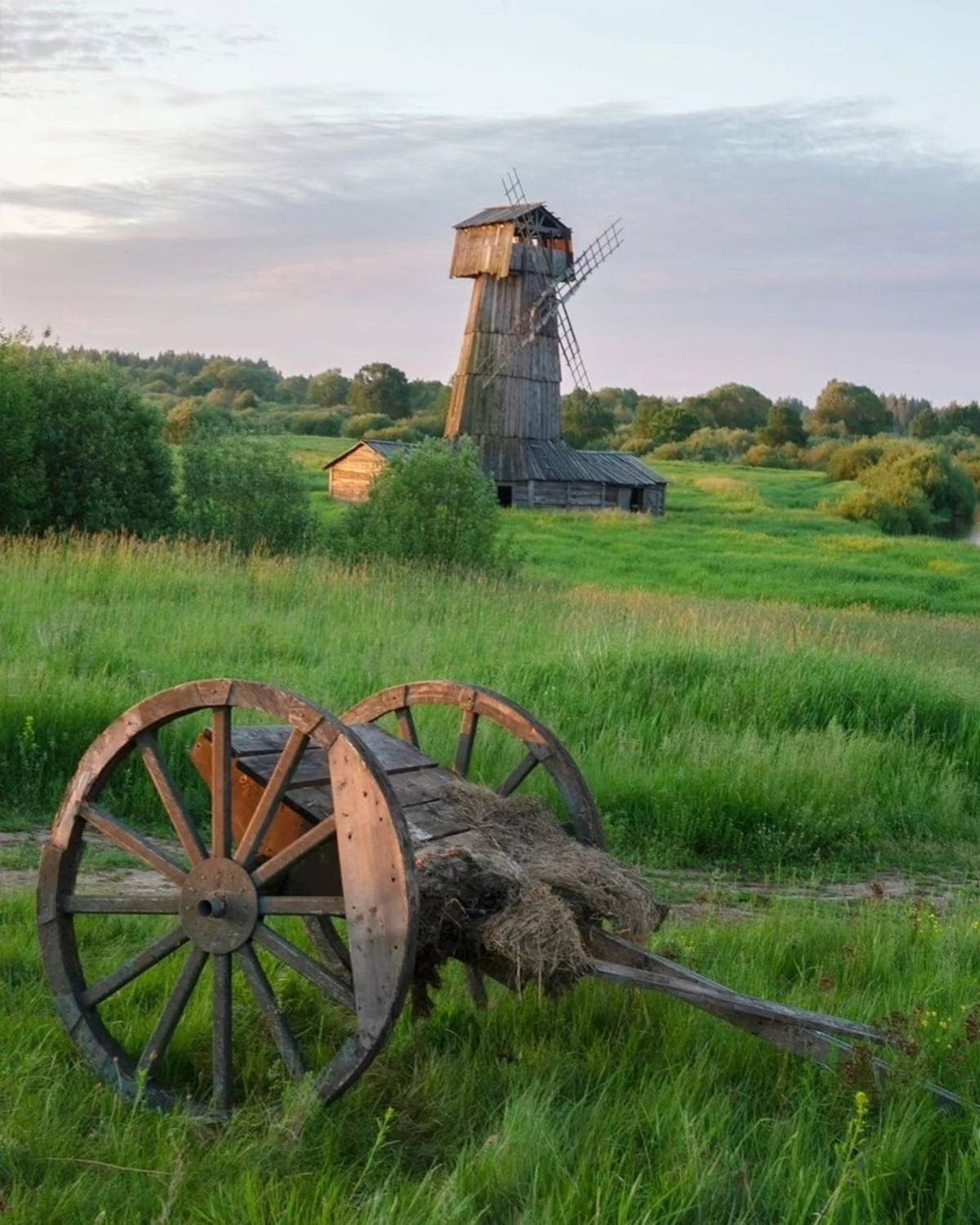 , Петр Косых