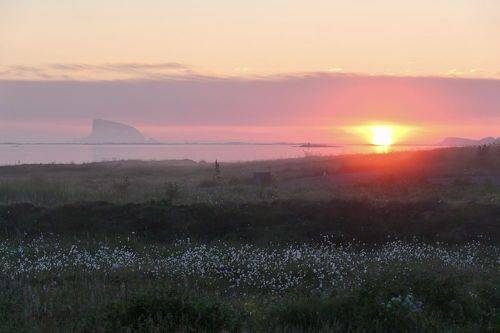 Сон в летнюю ночь...