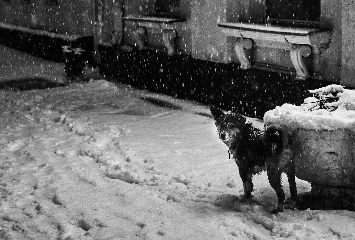 , Наталья Новикова