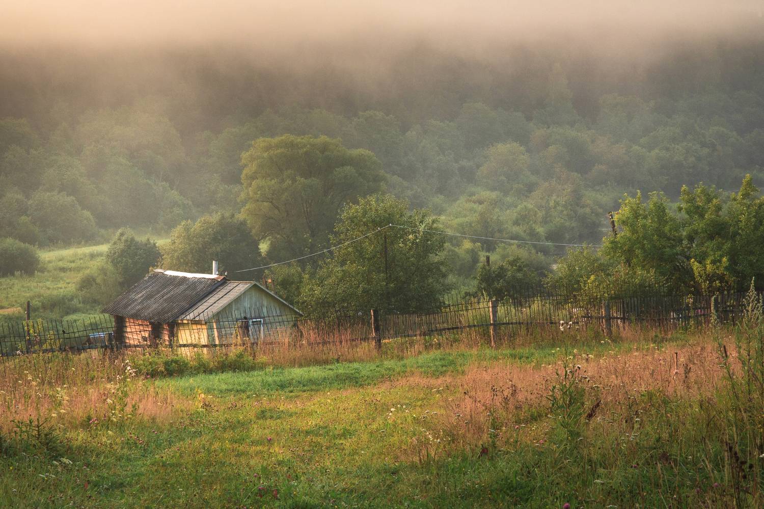 , Алексей Лобанов