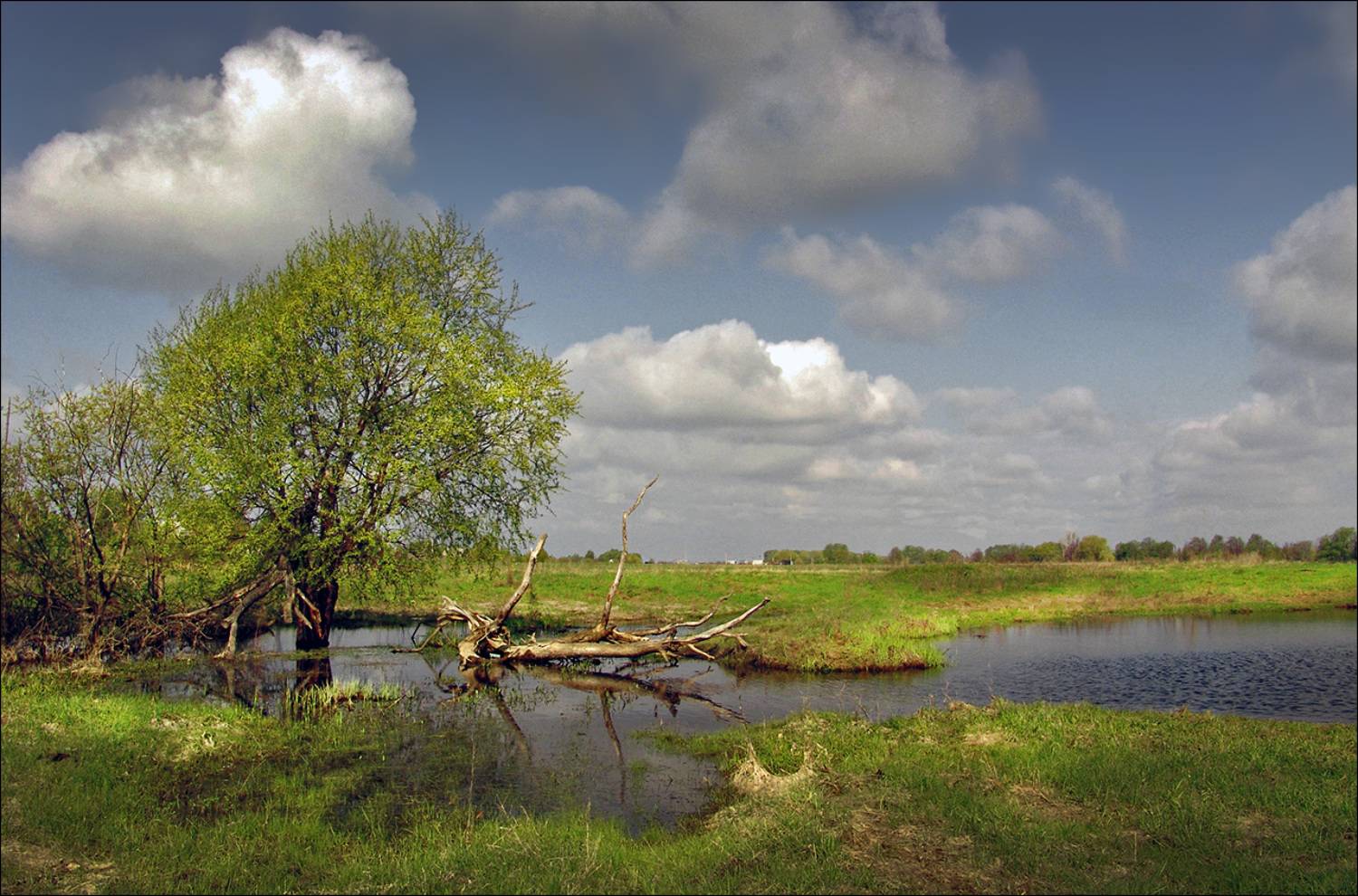 рязанщина, шилово, Тарасов Алексей