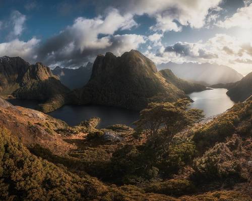 New Zealand 