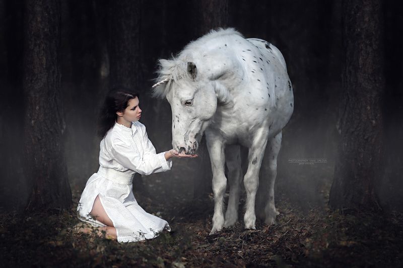 horse, horses, лошадь, конь, конныйфотограф, конный фотограф Яна Орлова, кэнон, canon, 7020028, лошади, фотографияслошадью, фотосессияслошадью, фотосессиислошадьми, коннаяфотография, pferd, horsephotographer, женский портрет, девушка   фото превью