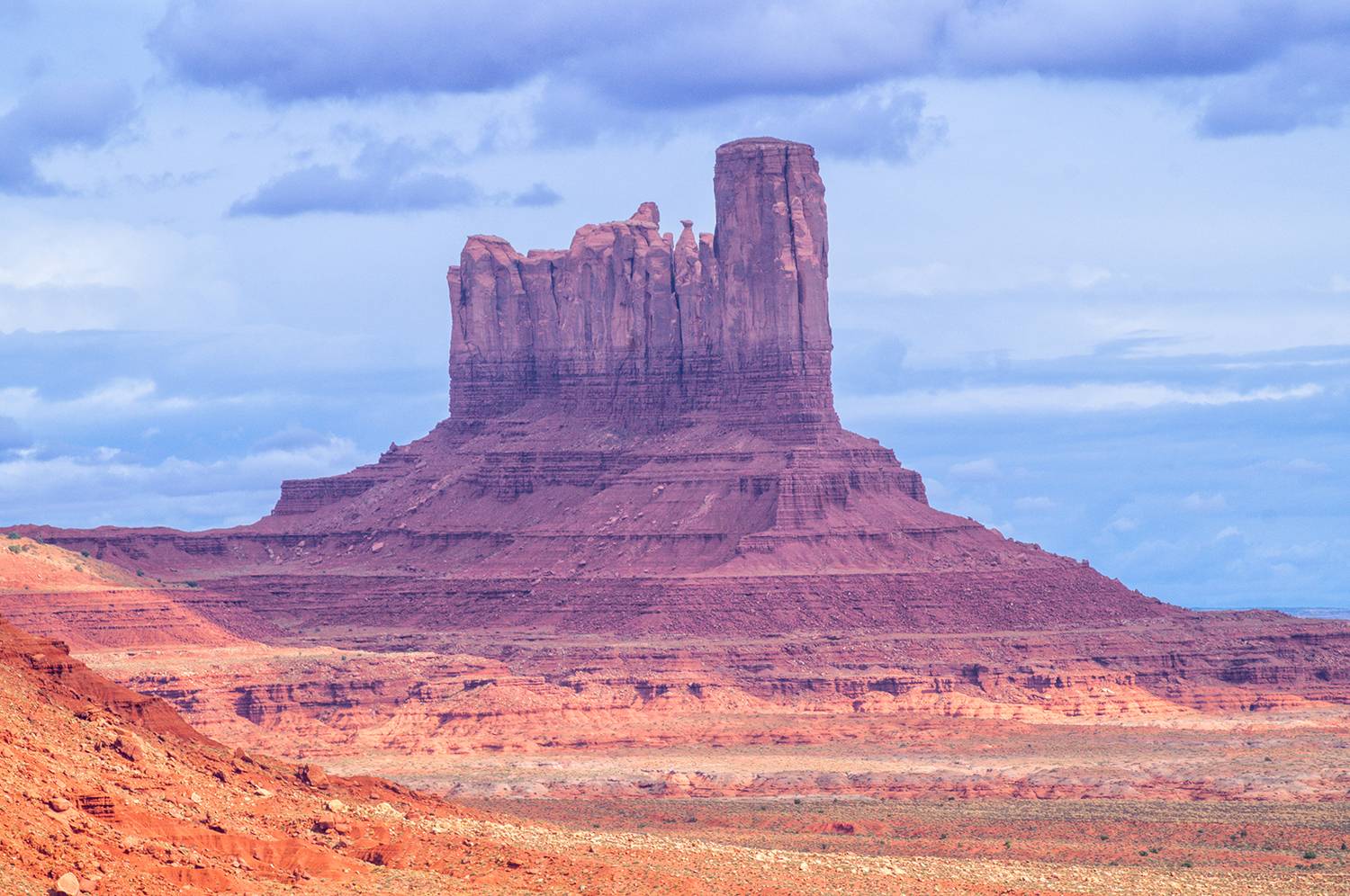 , Лариса Дука