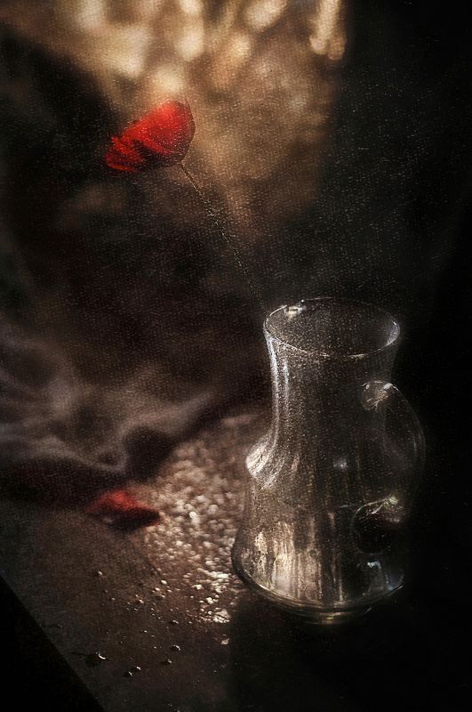 Рождение майского утра фото превью