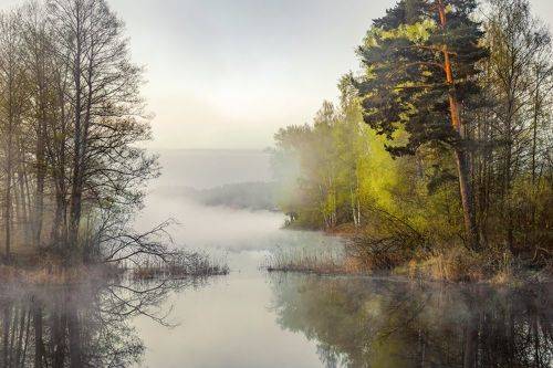 Утренний туман.