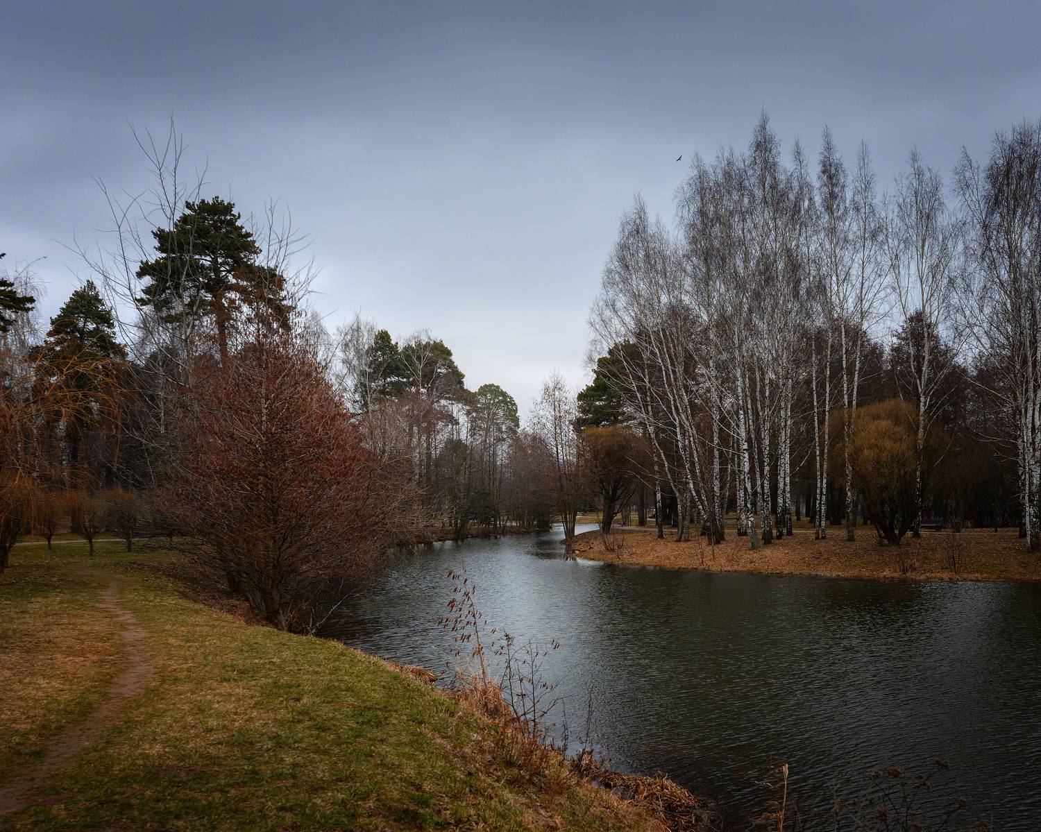 , Павел Тимошенко
