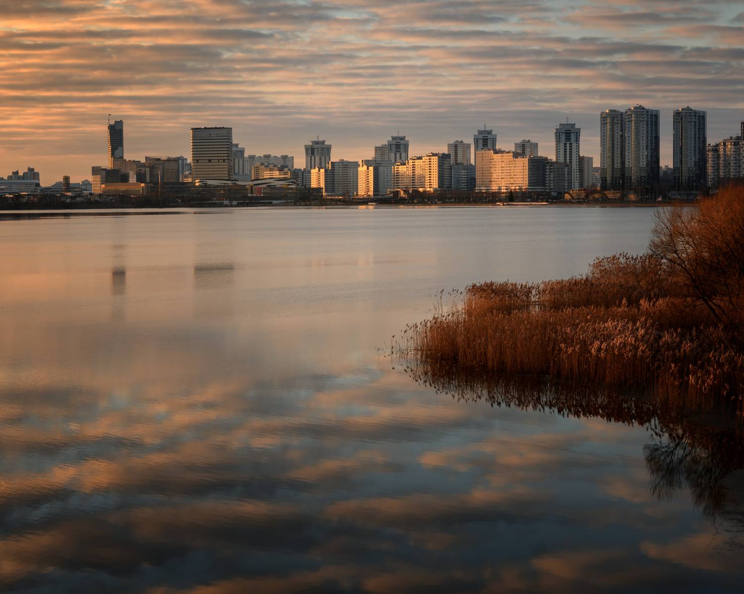 , Павел Тимошенко