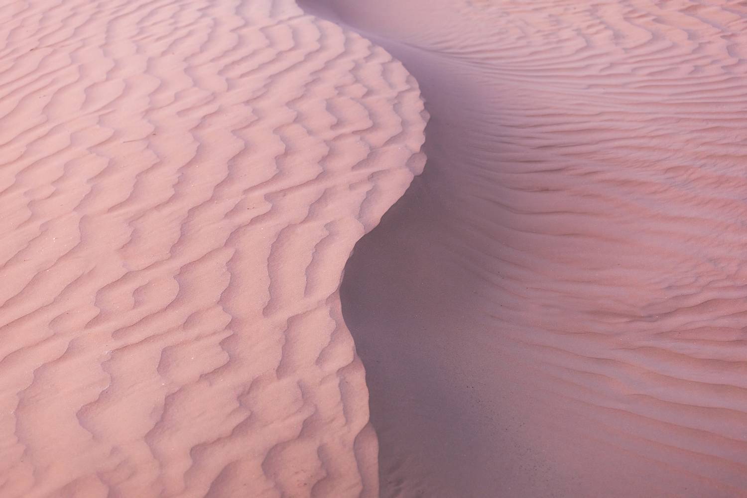 астрахань, астраханская область, пустыня, песок, дюны, закат, Влад Рябинин