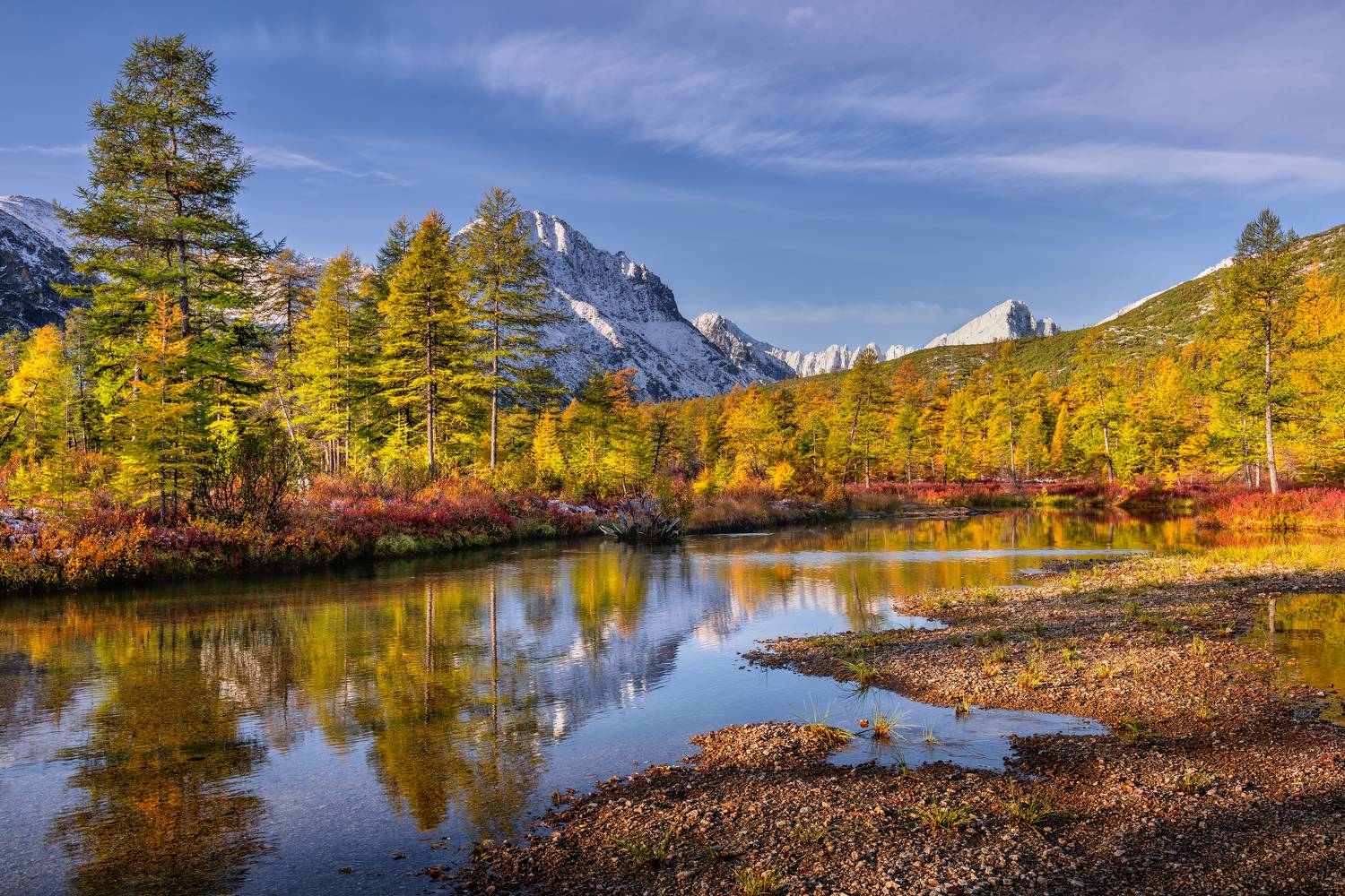 , Максим Евдокимов