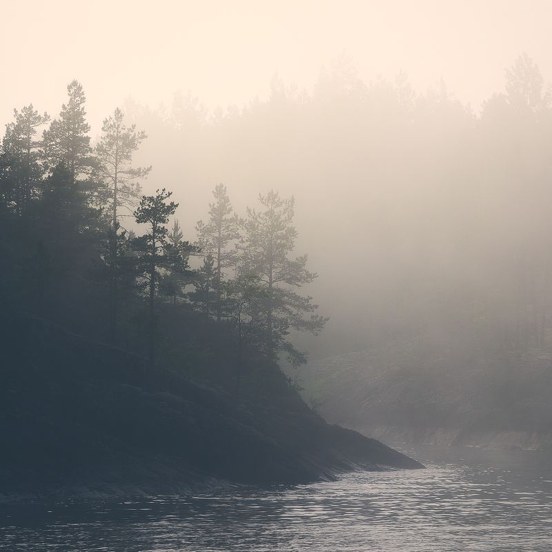 Туман, Ладога *** фото превью