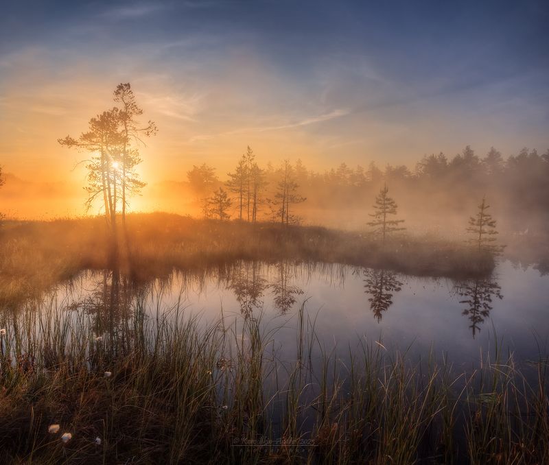 Солнечно, туманно... фото превью