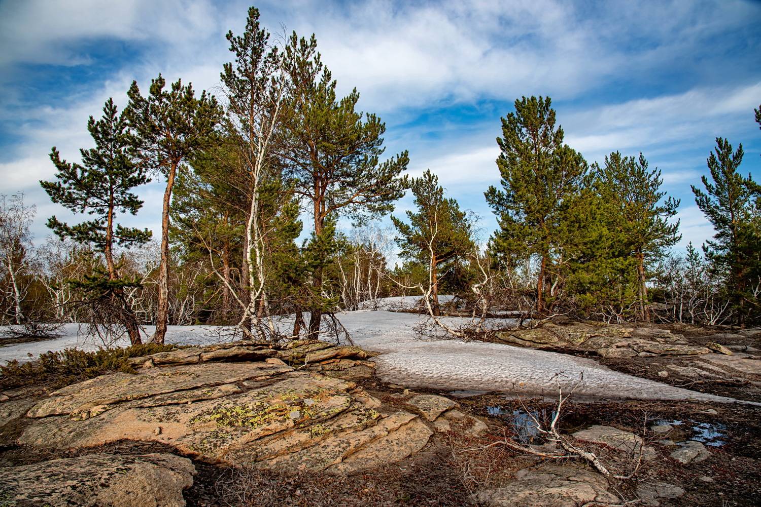 весна, Евгений Дроботенко