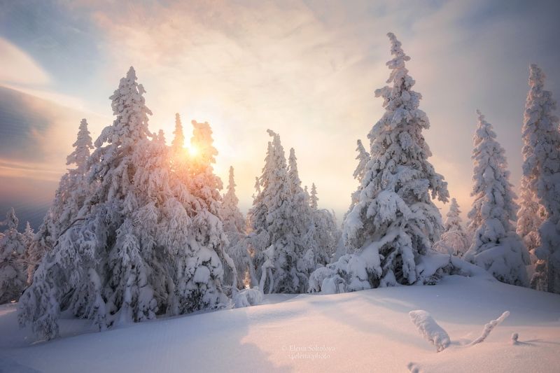 хребет, уреньга, горы, пейзаж, зима, зимний пейзаж, лес, куржак, снег, златоуст, челябинская область, урал Уреньга фото превью