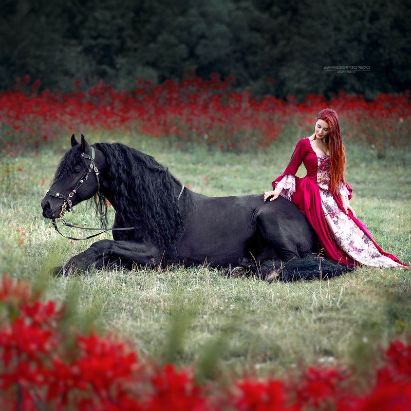 horse, horses, лошадь, конь, конныйфотограф, конный фотограф Яна Орлова,  кэнон, canon, 7020028, лошади, фотографияслошадью, фотосессияслошадью, фотосессиислошадьми, коннаяфотография, pferd, horsephotographer, женский портрет, девушка   фото превью