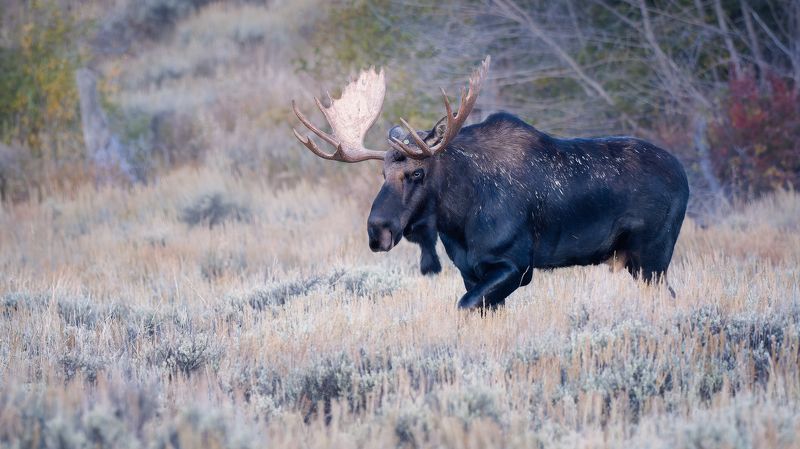Полезный совет фото превью