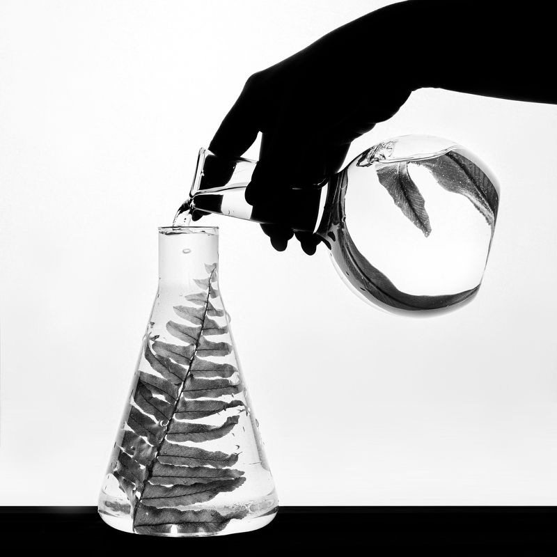 Силуэтное фото превью