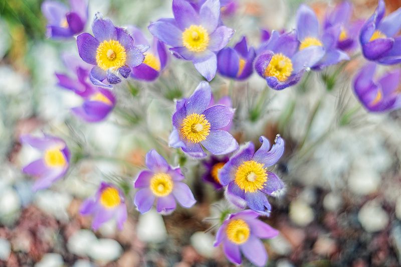 Любимая модель фото превью