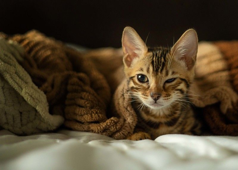 Подпишись... фото превью