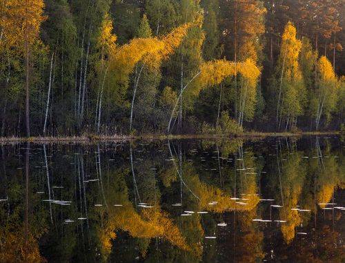 Вечерний танец