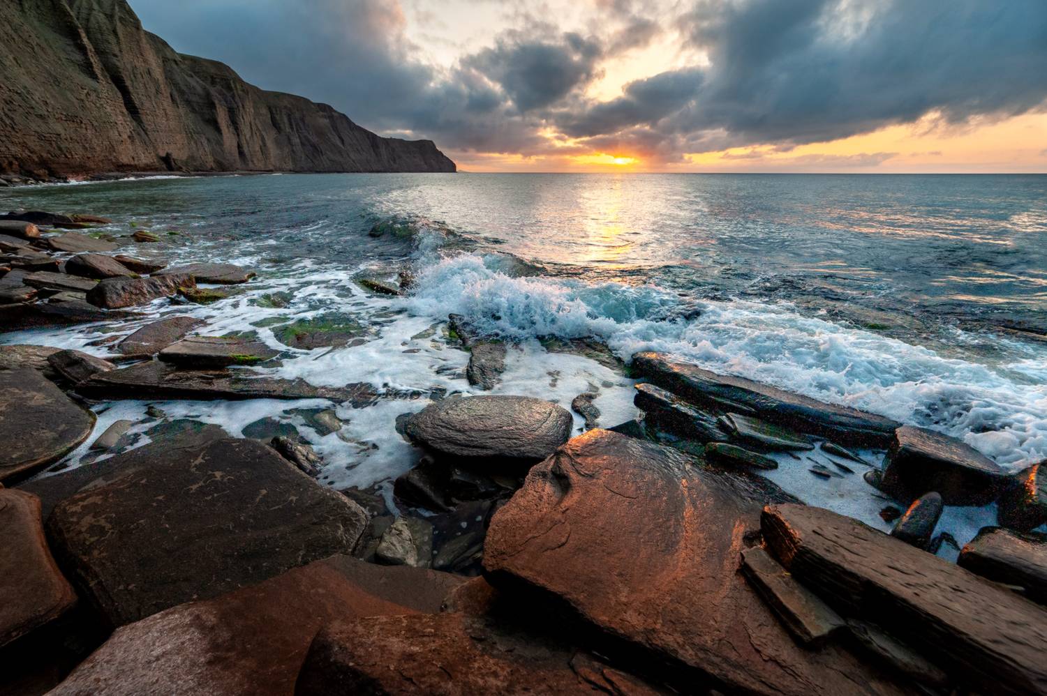 , Васильева Дарья