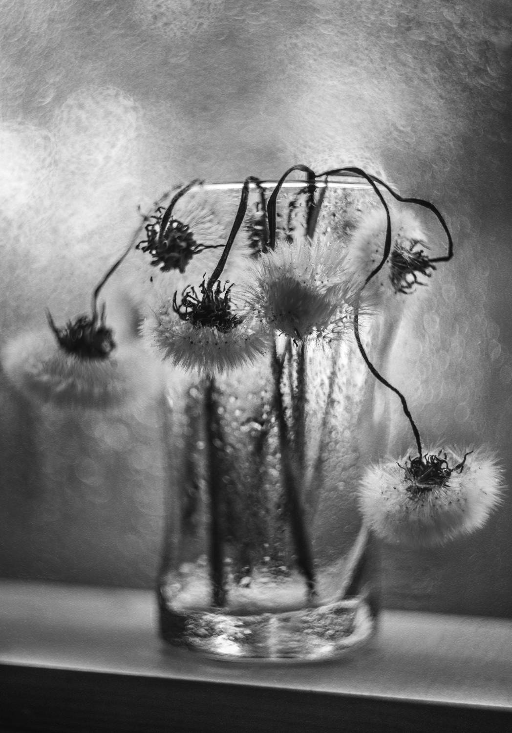 , Ольга Литвинова