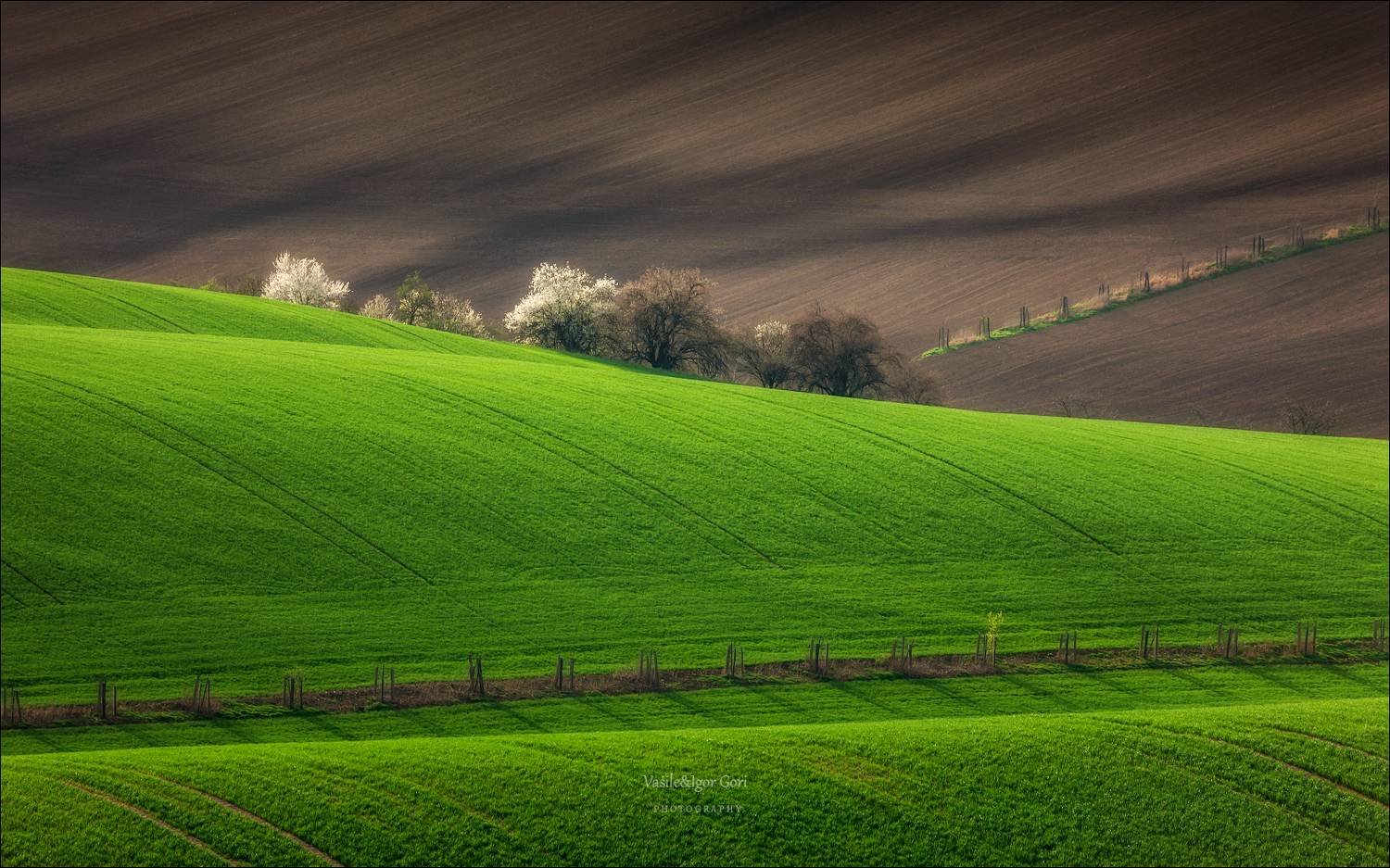 южная моравия,hils,линии,south moravian,волны,lines,свет,czech,весна,чехия,landscapes,минимализм,абстракция,green,rural,nature,цветение,карлин, Гори Василий