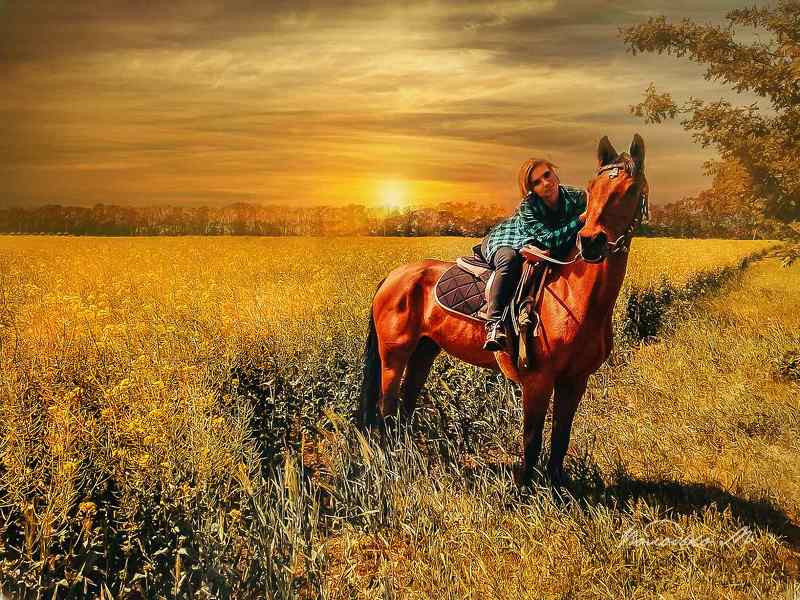 Мое детство: красный конь... фото превью