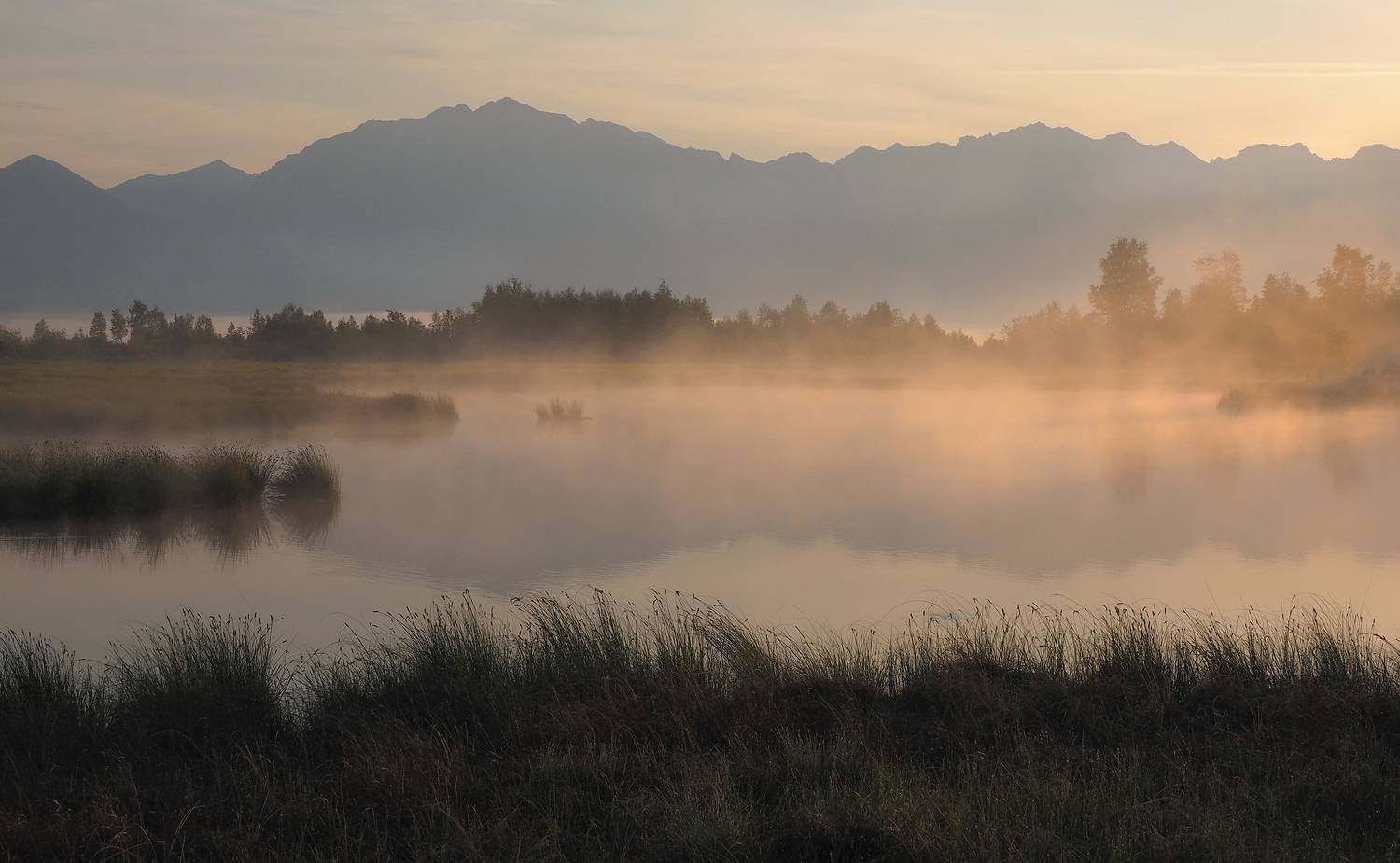 , Александр Попов