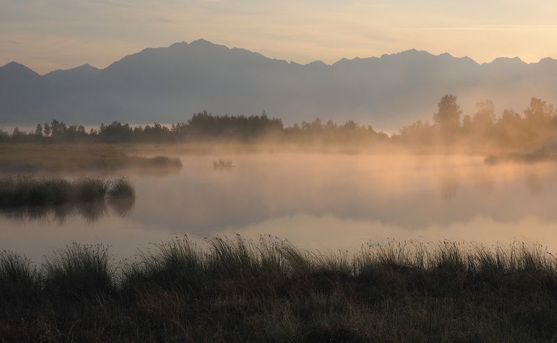Летним туманным утром фото превью