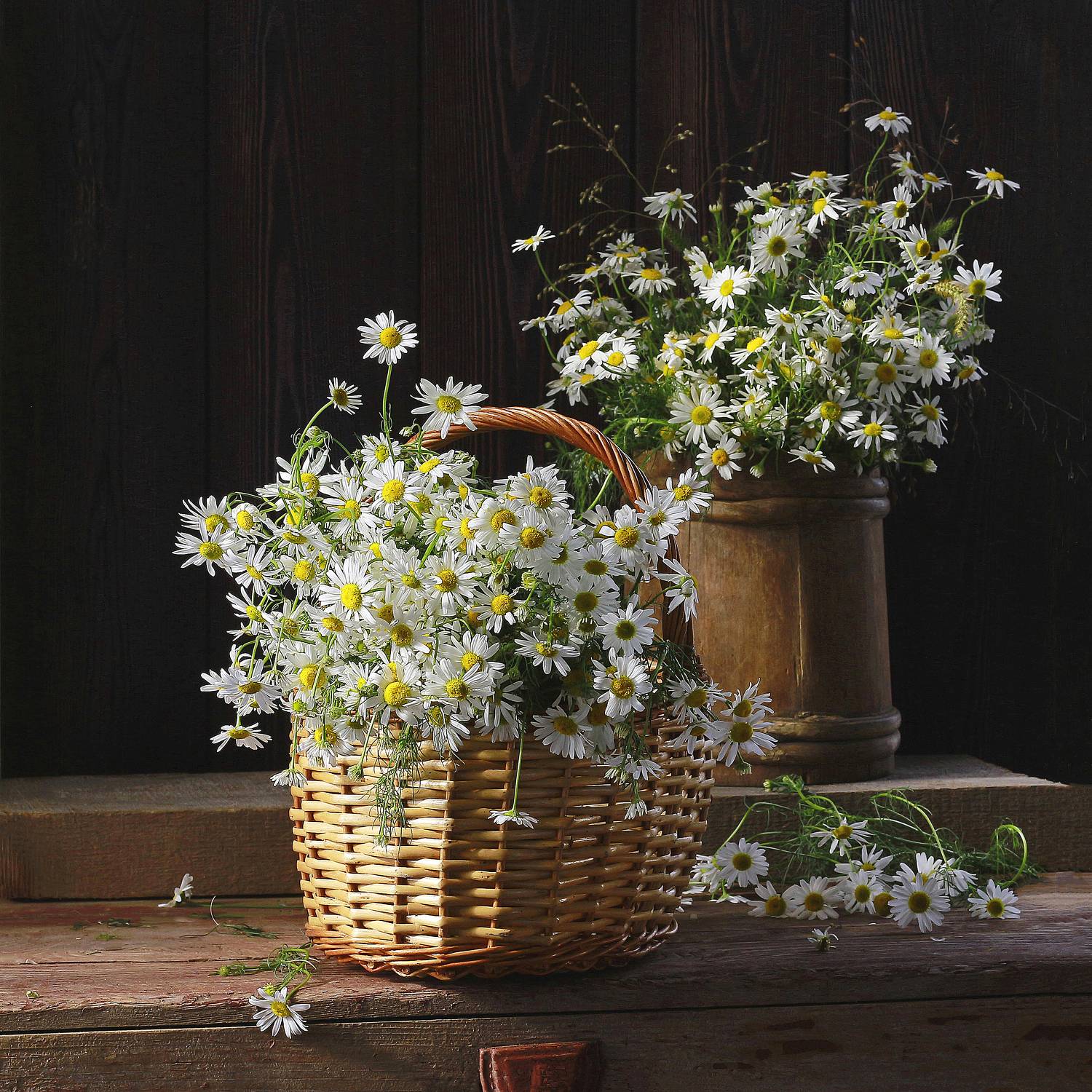 натюрморт, фотонатюрморт, still life, stillifefoto, художественное фото, фотохудожник, лето, цветочный натюрморт, цветы, букет, ромашки, ретронатюрмортбукет, август, Наталья Казанцева