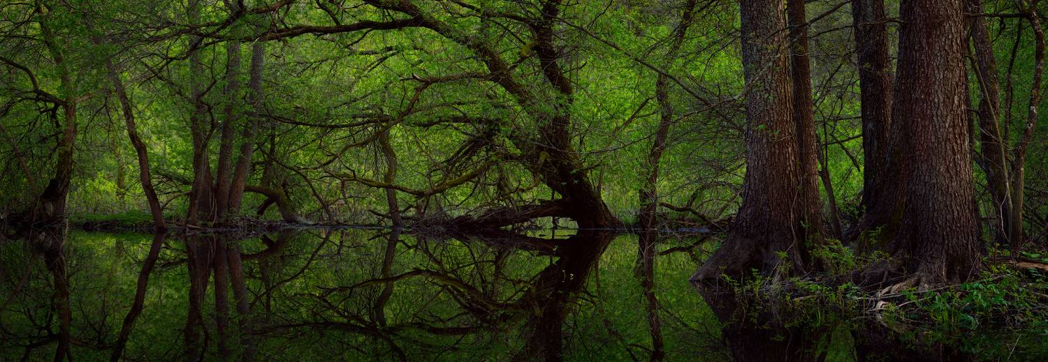 , Михаил Кушнер