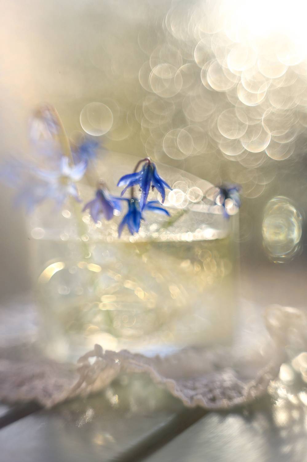 фантазии света, гелиос 44,весна, ГОРЮКИНА ИРИНА