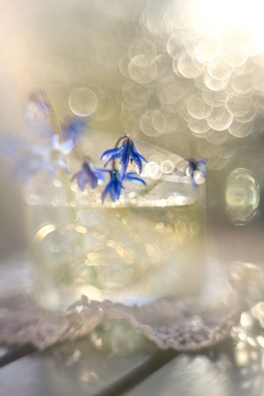 фантазии света, гелиос 44,весна Игра света фото превью