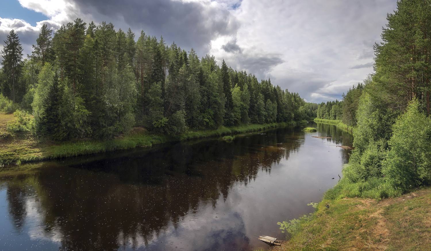 река, лес, карелия, Сергей Аникин