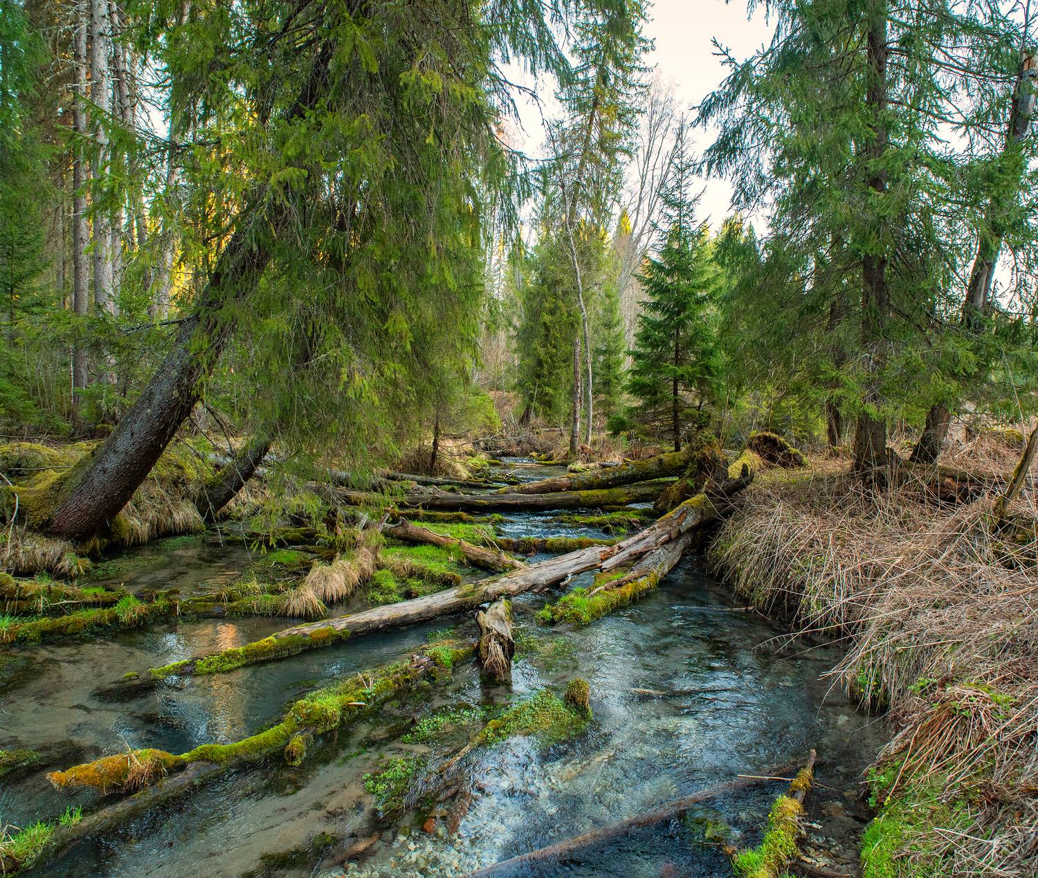 , Евгений Карепанов