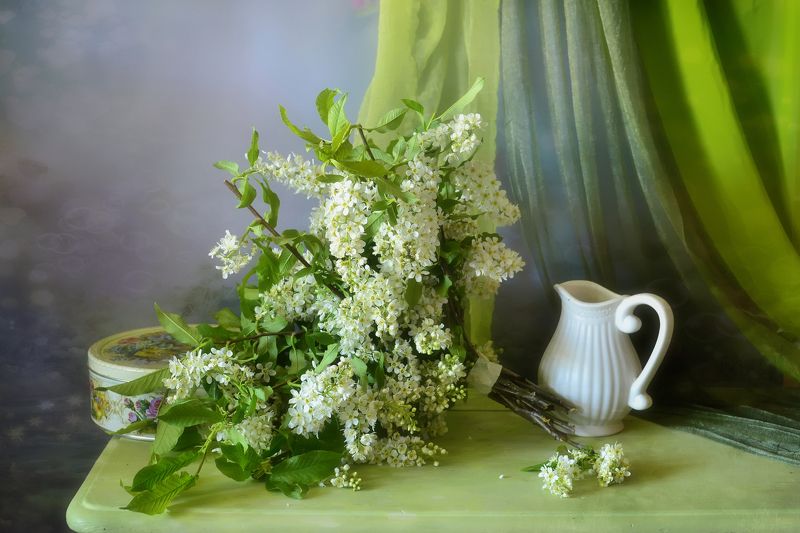 натюрморт,композиция,свет,весна,букет,черёмуха,кувшин Весенняя лирика фото превью