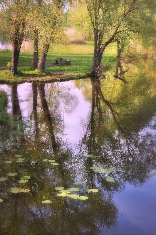 Полесская сторона фото превью