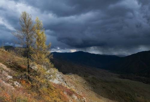 Грозовой перевал