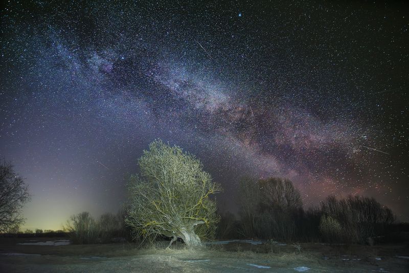 Волшебство ночи фото превью
